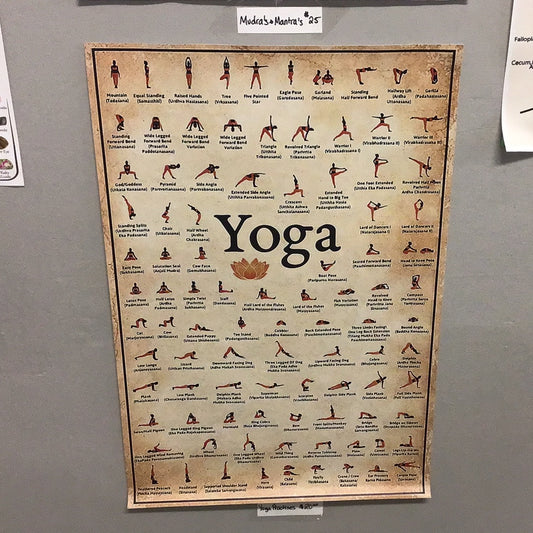 Yoga Chakra And Mudras Awakening Poster (40x60 cm/15,75"x23,62") - Unframed