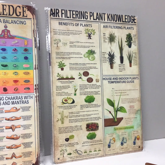 Vintage Air Filtering Plant Knowledge Poster Multi Wall Decor, Metal/Tin (8"x12")