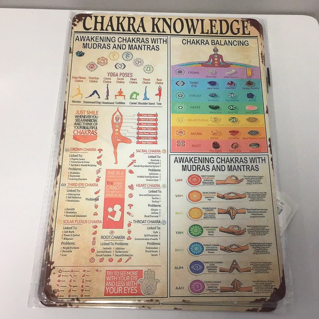 Chakra Knowledge Poster Multi Wall Decor, Metal/Tin (8"x12")