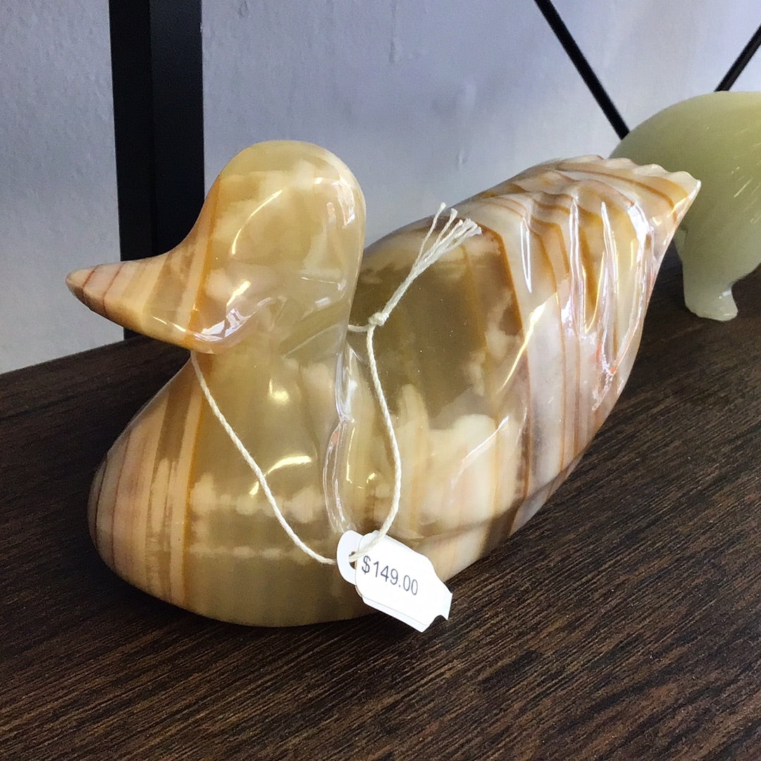 Canadian Onyx Duck