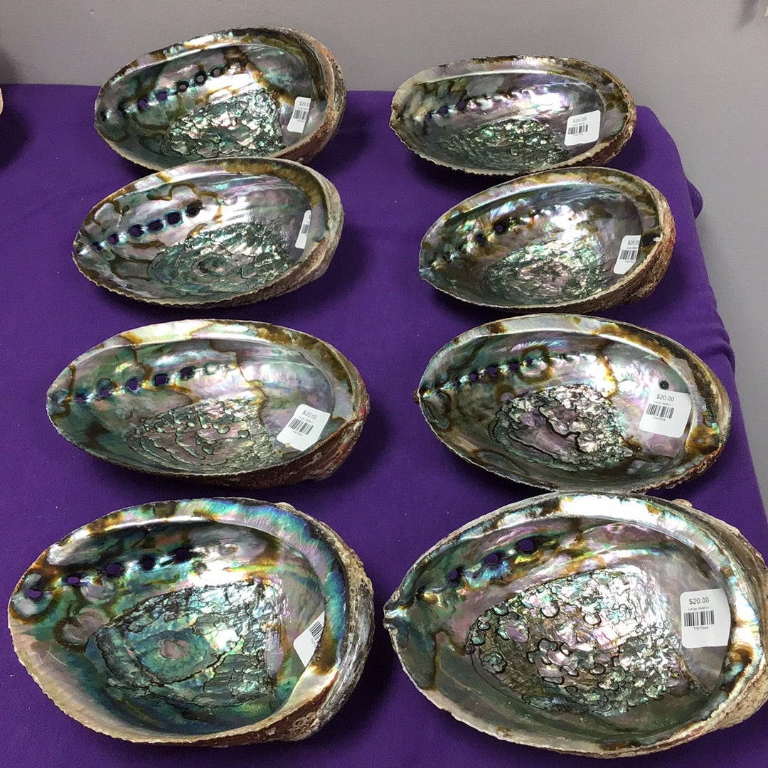 Large Abalone Smudge Bowls