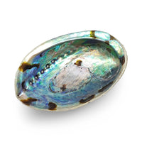Large Abalone Smudge Bowls - 5inch