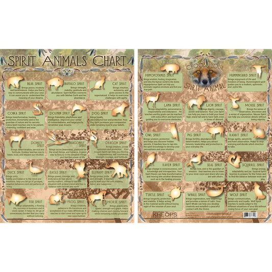 Laminated Animal Chart - 8.5"X11"