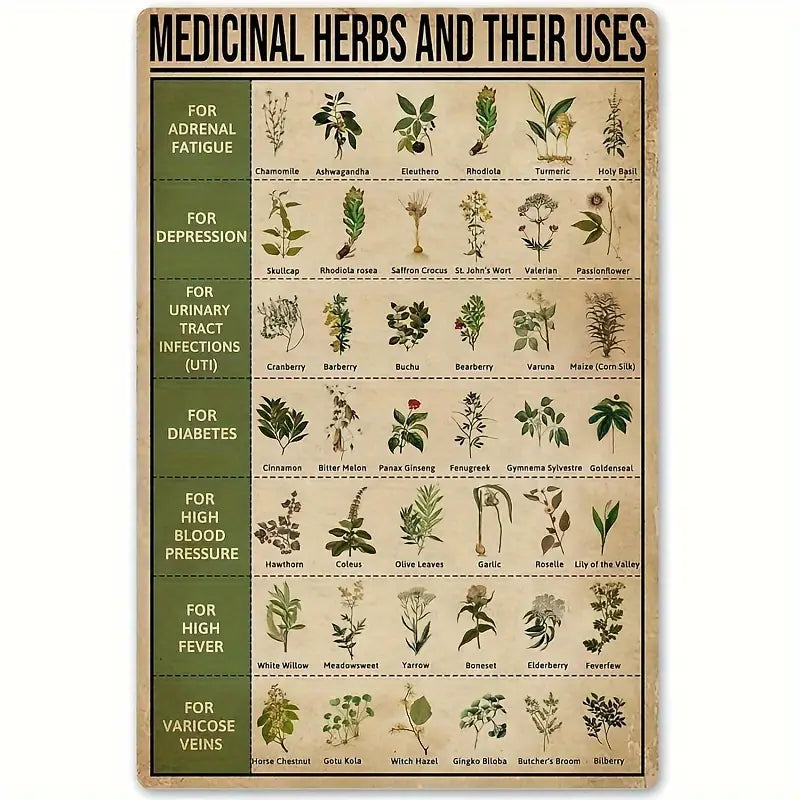 Medicinal Herbs & Their Uses - Aluminum Poster Metal/Tin (8"x12")