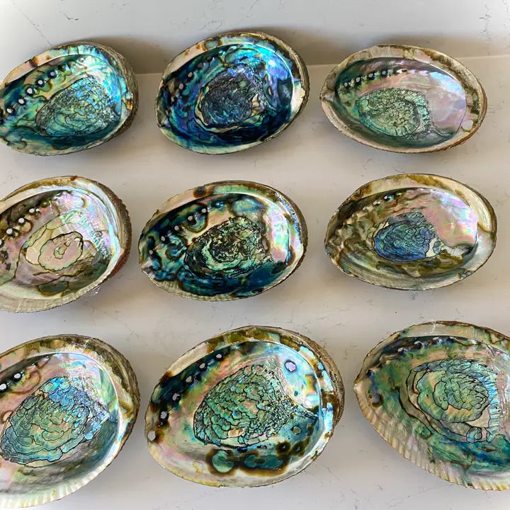 Medium Abalone Smudge Bowls